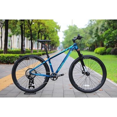 Vélo de montagne pour adultes avec 13 vitesses et cadre en alliage d'aluminium