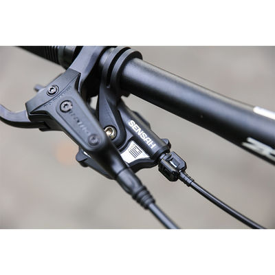 Vélo de montagne pour adultes avec 13 vitesses et cadre en alliage d'aluminium