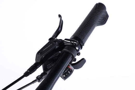 Grand vélo de montagne course de vélo de montagne vitesse avec Al Cassette Hub pour freinage Dsic