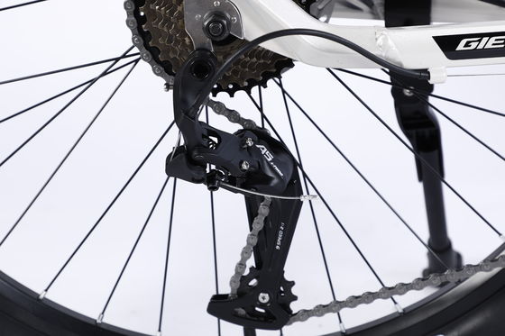 Grand vélo de montagne course de vélo de montagne vitesse avec Al Cassette Hub pour freinage Dsic