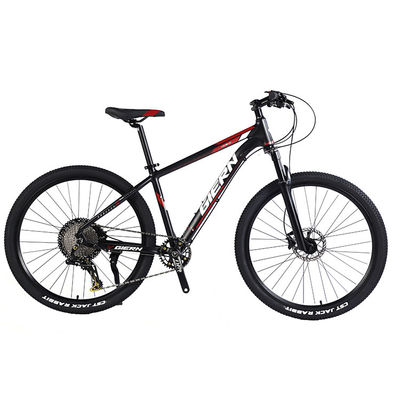 Cadre personnalisé en fibre de carbone Vélo de montagne avec Ltwoo A12 12s Gear 26/27.5/29 pouces
