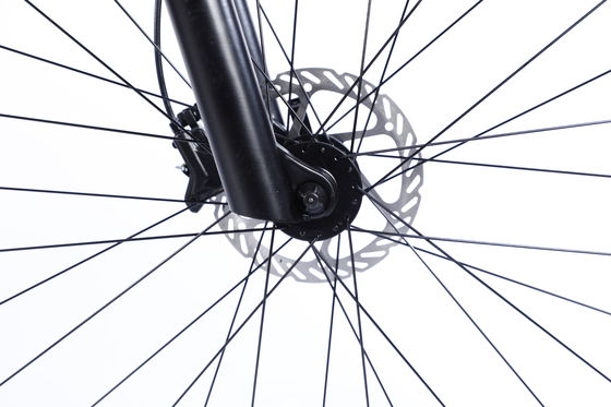 Cadre personnalisé en fibre de carbone Vélo de montagne avec Ltwoo A12 12s Gear 26/27.5/29 pouces