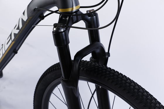 Cadre personnalisé en fibre de carbone Vélo de montagne avec Ltwoo A12 12s Gear 26/27.5/29 pouces