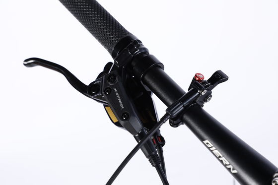 Cadre personnalisé en fibre de carbone Vélo de montagne avec Ltwoo A12 12s Gear 26/27.5/29 pouces