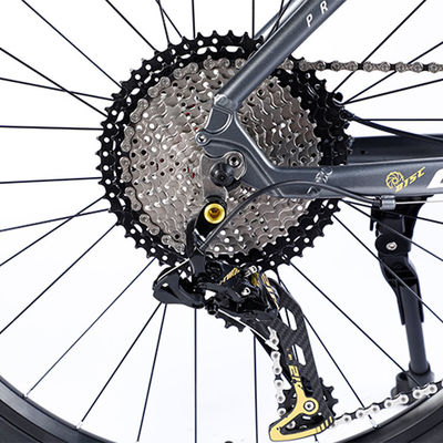 Cadre personnalisé en fibre de carbone Vélo de montagne avec Ltwoo A12 12s Gear 26/27.5/29 pouces