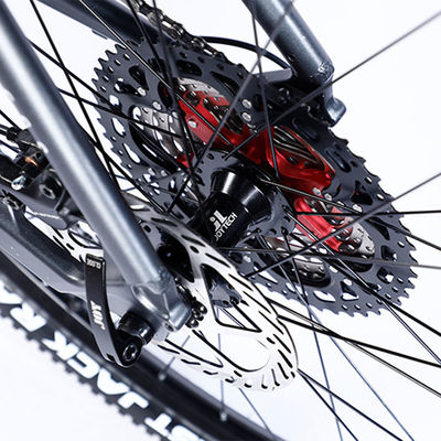 Cadre personnalisé en fibre de carbone Vélo de montagne avec Ltwoo A12 12s Gear 26/27.5/29 pouces