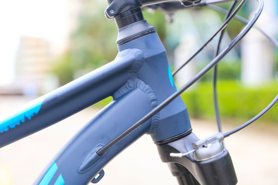 Vélo de montagne réglable pour adultes 13,9 kg Poids du vélo Frontière et frein à disque arrière