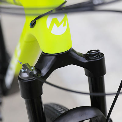 Bicycles de montagne pour adultes 29 pouces Mtb Bike avec une fourchette en alliage d'aluminium et des plaquettes de disque de frein de 160 mm
