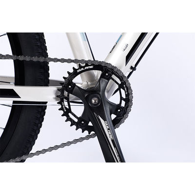 Vélo de montagne de 29 pouces pour les adultes sur route