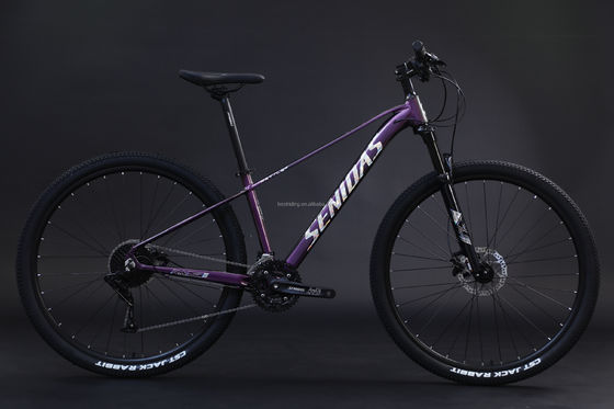 Cadre rigide 29 pouces Vélo de montagne Cadre en alliage d'aluminium Vélo de montagne 3*10s RTS