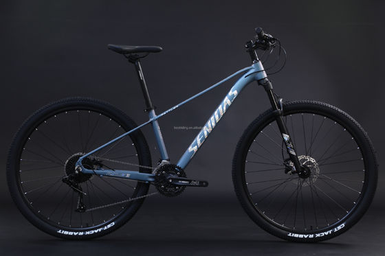 Cadre rigide 29 pouces Vélo de montagne Cadre en alliage d'aluminium Vélo de montagne 3*10s RTS