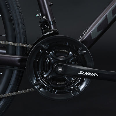 Vélo d'aventure 700*35C avec pédale ordinaire et fourche en aluminium