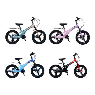 20 Taille Vélo de montagne en alliage de magnésium sans suspension à fourchette et pédale ordinaire