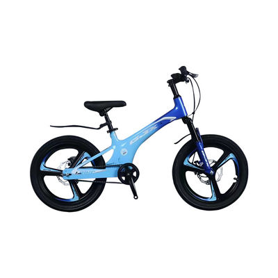 Vélo de montagne avec 21 vitesses et cadre en alliage de magnésium