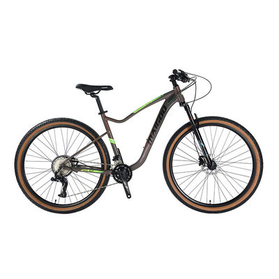 29" Suspension Aluminium Alloy Cadre Vélo 2*11s Pneus muraux en cuir VTT