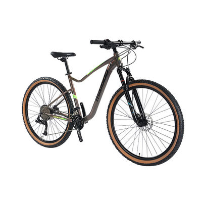 29" Suspension Aluminium Alloy Cadre Vélo 2*11s Pneus muraux en cuir VTT