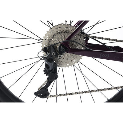 Vélo de montagne en fibre de carbone de 29 pouces avec des pièces de rechange Shimano 22s personnalisable