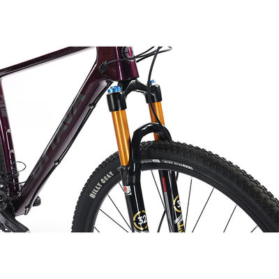 Vélo de montagne en fibre de carbone de 29 pouces avec des pièces de rechange Shimano 22s personnalisable