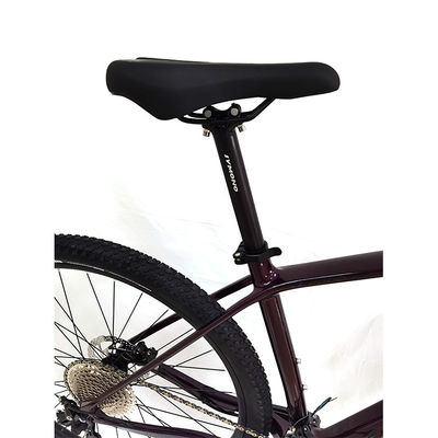 Vélosité Vélosité légère Vélosité de route en fibre de carbone avec engrenages à une vitesse