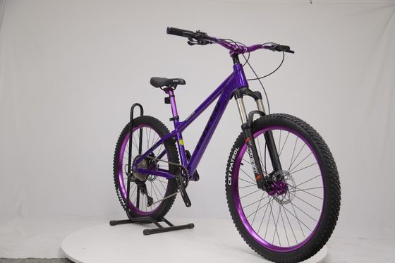 Découvrez la liberté du vélo de montagne avec le vélo de montagne sportif 8/9 vitesses Dirt Jumper MTB