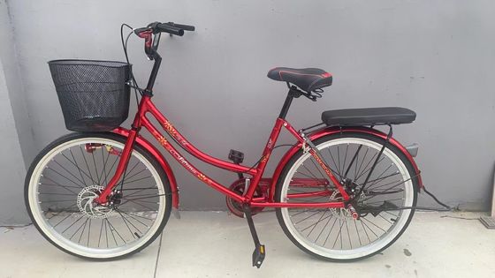 Vélo de 24 pouces pour femmes avec support arrière Elegante vélo pour femmes Vélo urbain féminin de style classique Vélo pour femmes